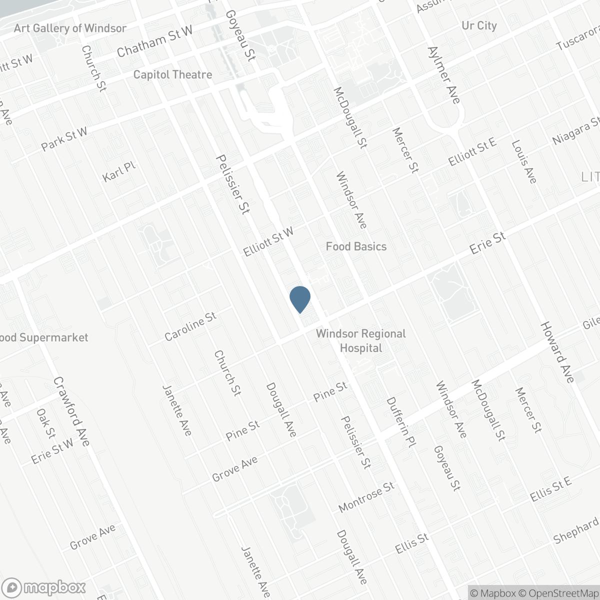 955 OUELLETTE AVENUE Unit# 301, Windsor, Ontario N9A 4J5